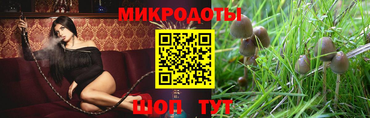 Алушта  Псилоцибиновые грибы мухоморы  Вход с VPN 